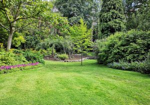 Optimiser l'expérience du jardin à Bosc-le-Hard